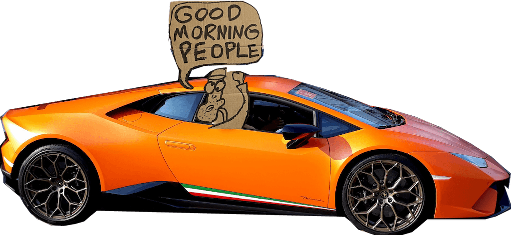 Stinky in Lamborghini
